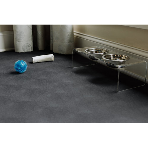 GFloor Levant Pet Flooring Protector & Reviews Wayfair